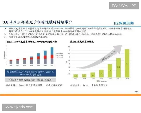 火箭队球鞋设计与市场表现深度探讨