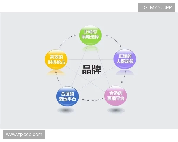 健身器材定位人群详解：从入门到进阶，满足不同训练需求