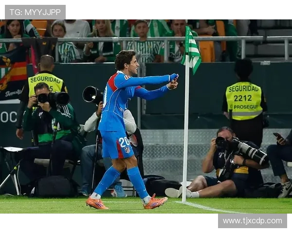 马德里竞技阵容重组再度崛起 成为西甲争冠新劲旅