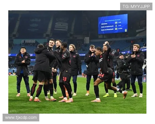 德甲主场表现最好的球队及其主场优势分析