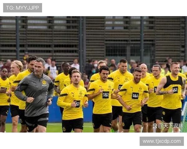 德甲各俱乐部财务现状分析:盈利还是亏损?全面数据支持 德甲各俱乐部财务现状分析:盈利还是亏损?全面数据支持