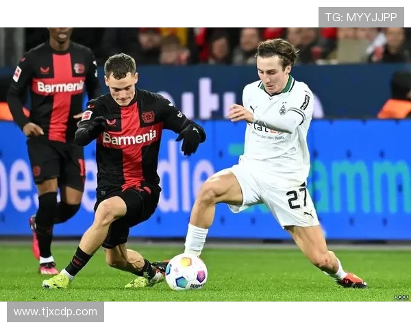 德甲球队总数统计及联赛结构全景解析