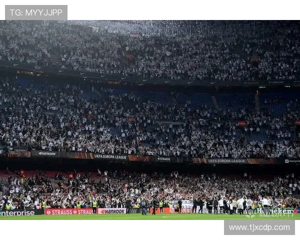 德甲球队的主场特色与球迷文化 德甲球队的主场特色与球迷文化