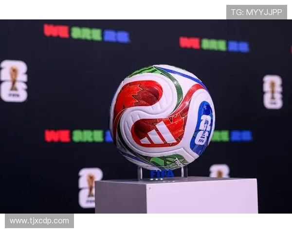 聚焦2026世界杯主办城市的文化魅力与发展新机遇全球视野下探索